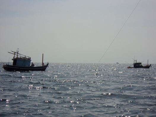 พอเรือลอบออกไป เรือที่ตกอยู่ด้วยกันที่ กระรังเทียมกองแรกก็เข้ามาจอดมันที่ปลายสายเบ็ดผมเลยครับ สงสัยจ