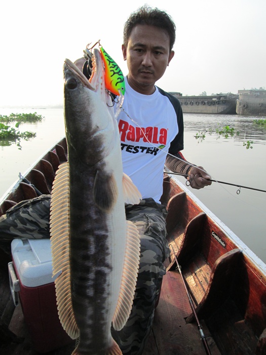  [center] [b]คราวนี้ผมเลือกใช้Rapala DT-THUG DTTSSตีจิบริมฝั่ง[/b][/center]