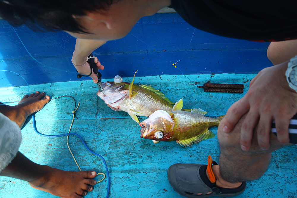 ได้แต่เหลือง