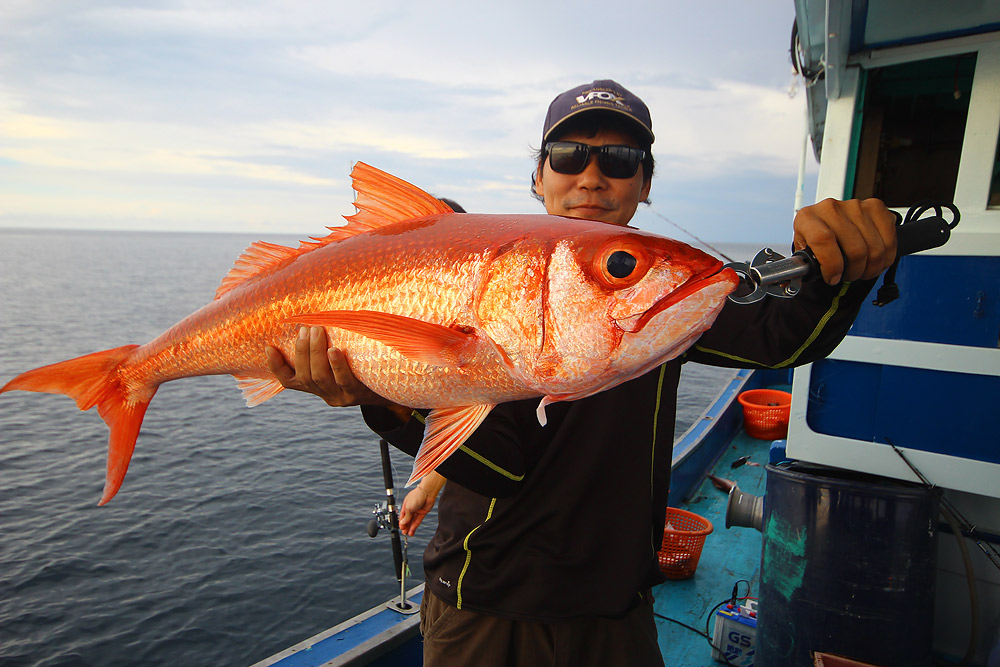 ปล้นมาถ่าย :laughing: