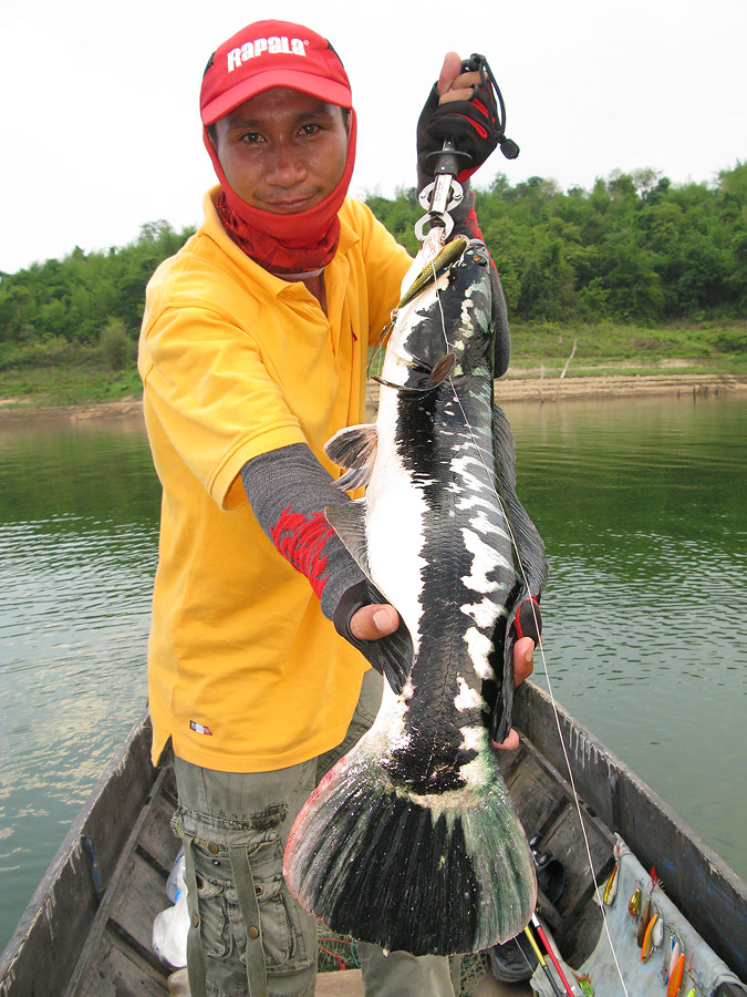  [b]++กระทู้ที่สี่[url='http://www.siamfishing.com/board/view.php?tid=631319']http://www.siamfishi