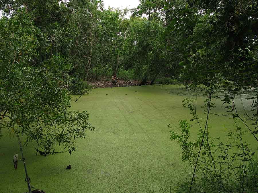 ++กระทู้ที่ 7  [url='http://www.siamfishing.com/board/view.php?tid=634036']http://www.siamfishing.