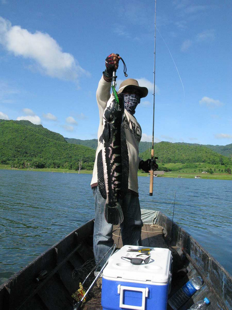 ++ส่วนอ่ำตลอดทั้ง 3 วันลงเรือกับไต๋คู่ใจ [b]ลุงขาว[/b] ตลอดทั้ง 3 วัน