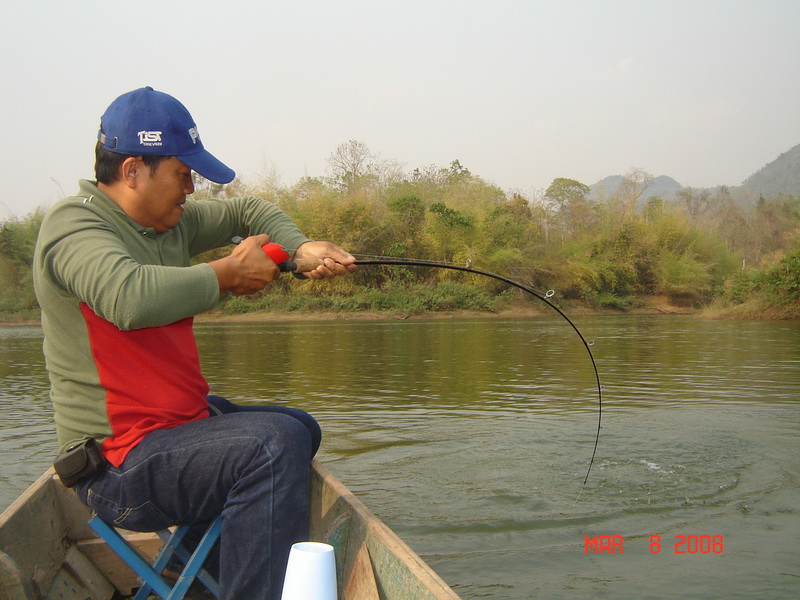 ลีลาคัน Rapala ด้ามปืนของผม โดนกระสูบไซส์ กระชากอย่างสุดแรง จนออกอาการโค้งโก่ง อย่างอ่อนช้อยสวยงาม
