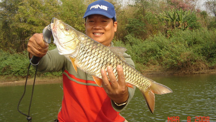 ไซส์สวยครับ
ป๊อบ ป๊อบ ตูม !!!!
Rapala Skitter Pop