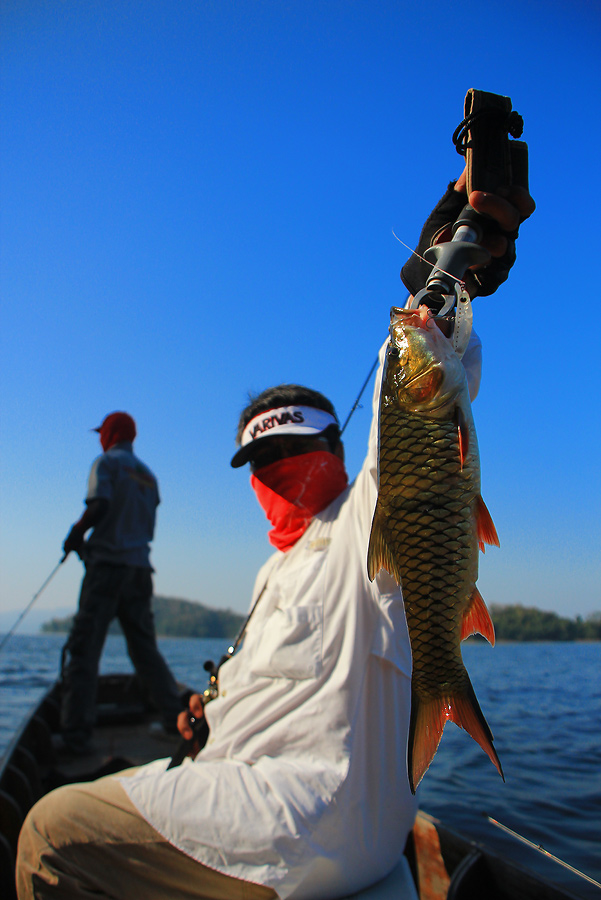 ++กระทู้ที่ 16  [url='http://www.siamfishing.com/board/view.php?tid=641313']http://www.siamfishing