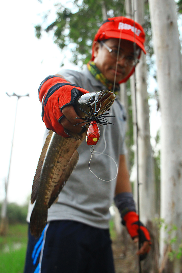 ++กระทู้ที่ 19  [url='http://www.siamfishing.com/board/view.php?tid=643080']http://www.siamfishing