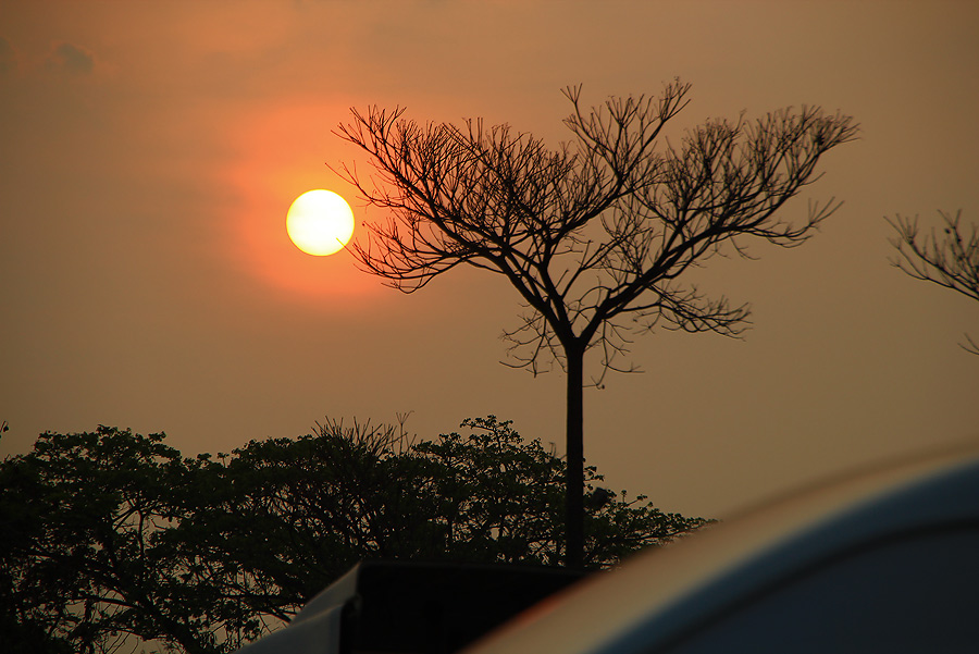 ++กระทู้ที่ 20  [url='http://www.siamfishing.com/board/view.php?tid=643385']http://www.siamfishing