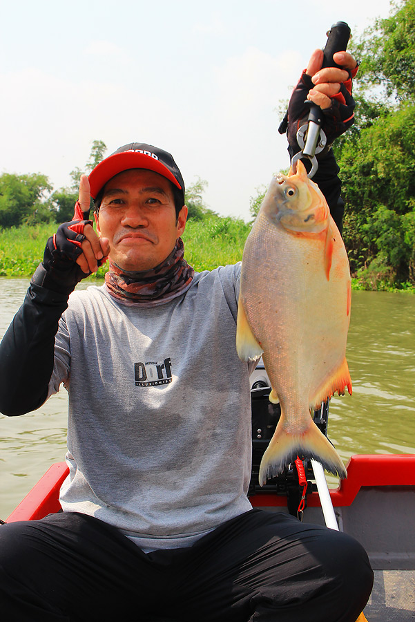 ++กระทู้ที่ 23  [url='http://www.siamfishing.com/board/view.php?tid=644747']http://www.siamfishing