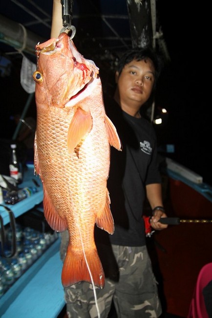  :cheer:...แดงเขี้ยวอีกแล้ว....ตัวสวยส่ะด้วย... :cheer: