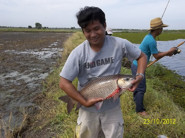 อีกรูปครับ