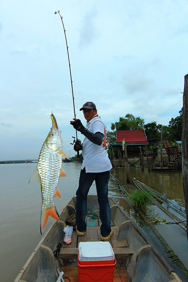 ++กระทู้ที่ 30  [url='http://www.siamfishing.com/board/view.php?tid=647561']http://www.siamfishing