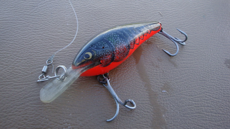 พระเอกของผม
Rapala Fat Rap
Deep Runner
ผมยอมตัดตะขอ เพื่อให้แม่ปลาไม่บอบช้ำมาก หลังจากพยายามถอดตะ