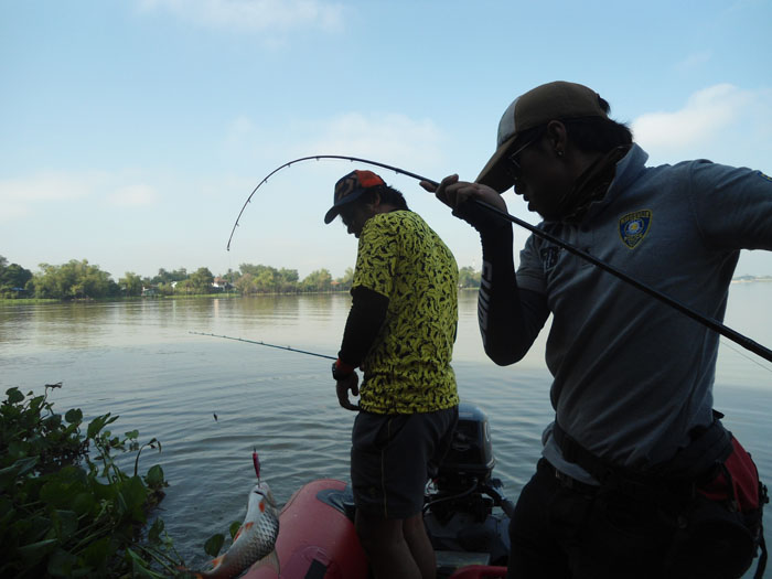 หมายนี้ตอนล่องเรือเห็นปลากัดลูกปลาเต็มไปหมด พอจอดเรือสนิท เดียร์โดนก่อนใครเลย :smile: