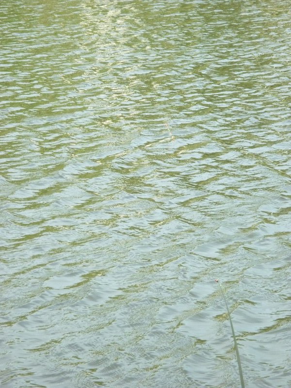                         ปลาก็ไม่เข้าเลย แถมจู่จู่ก็มีลมแรงมา เหมือนฝนจะเทซะงั้นอีก  :laughing: