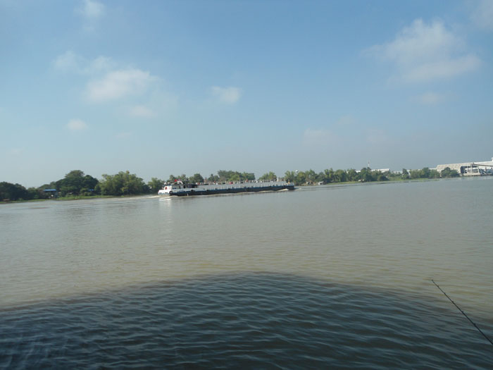 เวลาเรือลำใหญ่ๆมา คลื่นลูกใหญ่ดีครับ โยกไปโยกมา หนุกดี :laughing: :laughing: :laughing: