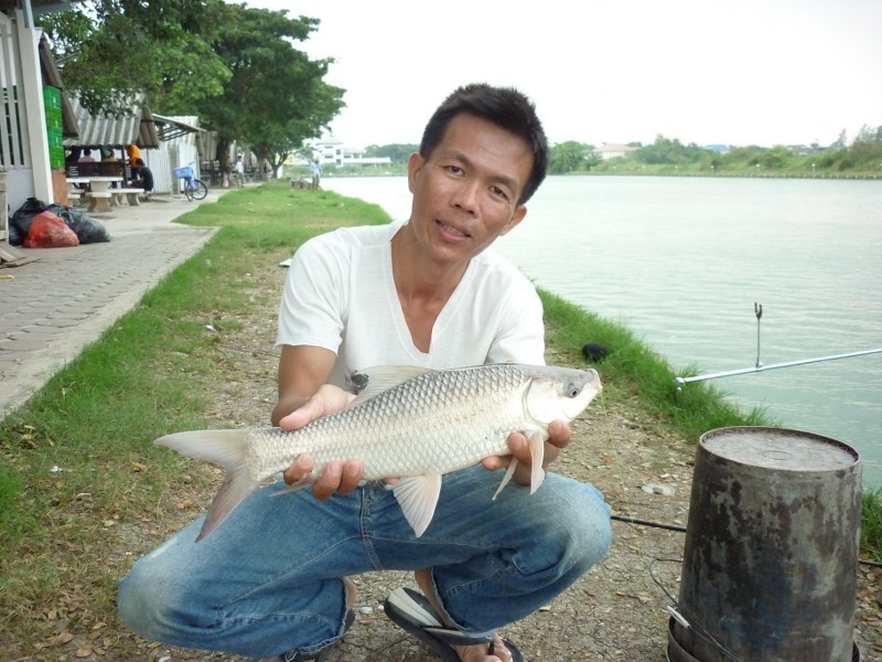                              ได้น้าเขามาบันทึกภาพไว้ให้ที่นี่ผมก็มาเป็นครั้งแรกเหมือนกันครับ ก็เลยดั