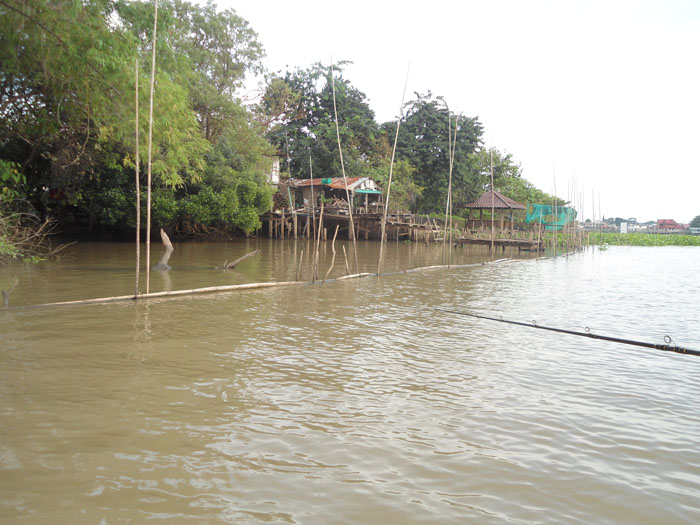 เงียบเหมือนเดิม.พวกเราเลยตัดสินใจไปหาตีใกล้จุดลงเรือ เพราะเวลาก็ใกล้จะหมดแล้วด้วยเหลือไม่กี่ชั่วโมงเ