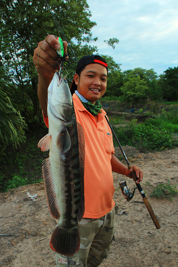 ++กระทู้ที่ 34  [url='http://www.siamfishing.com/board/view.php?tid=648298']http://www.siamfishing