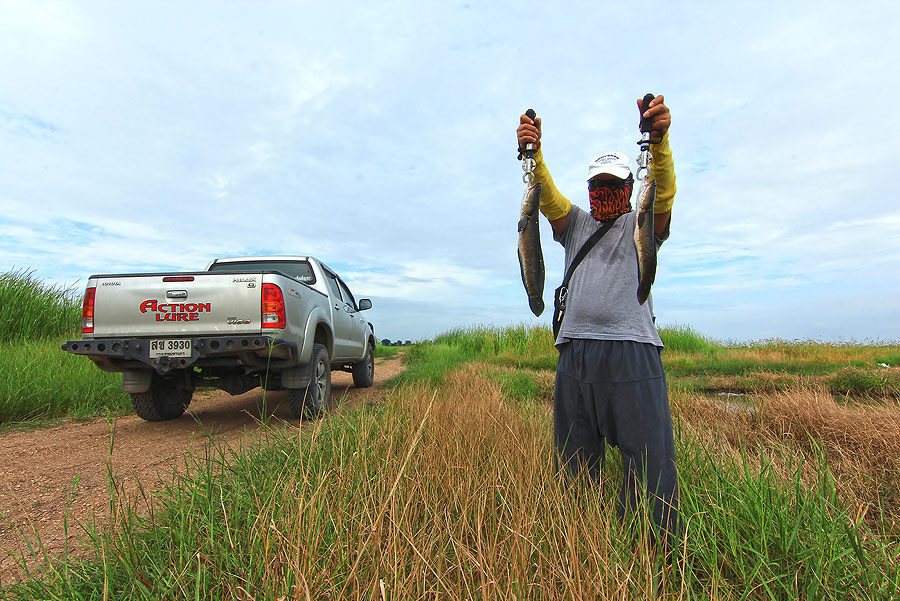 ++กระทู้ที่ 37  [url='http://www.siamfishing.com/board/view.php?tid=649146']http://www.siamfishing