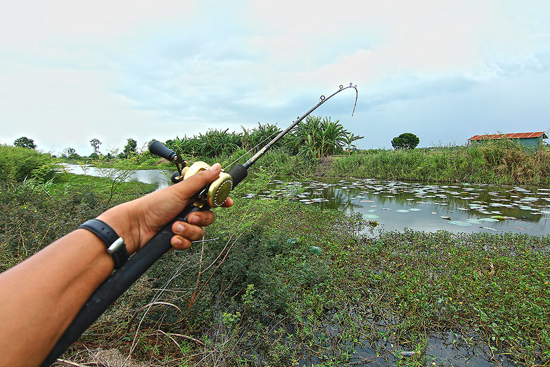 ++กระทู่ที่ 39  [url='http://www.siamfishing.com/board/view.php?tid=649525']http://www.siamfishing
