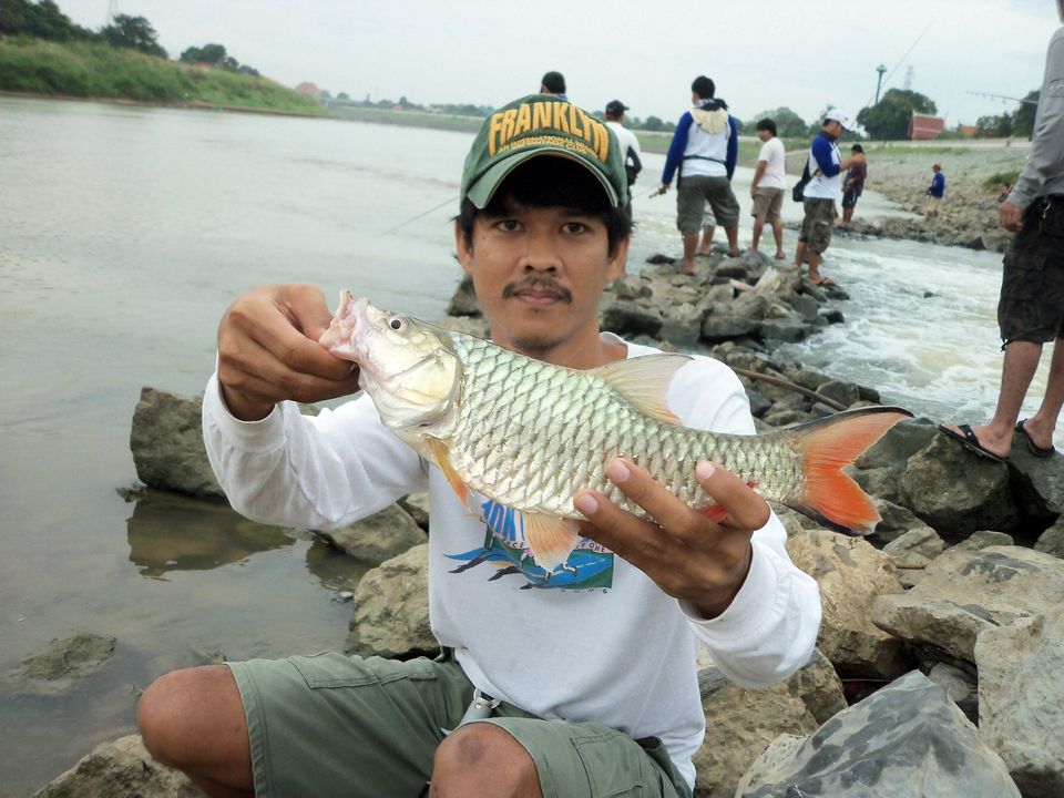 ดูกันเต็ม ๆ กับกระสูบตัวแรกในหมายนี้ของผมครับ