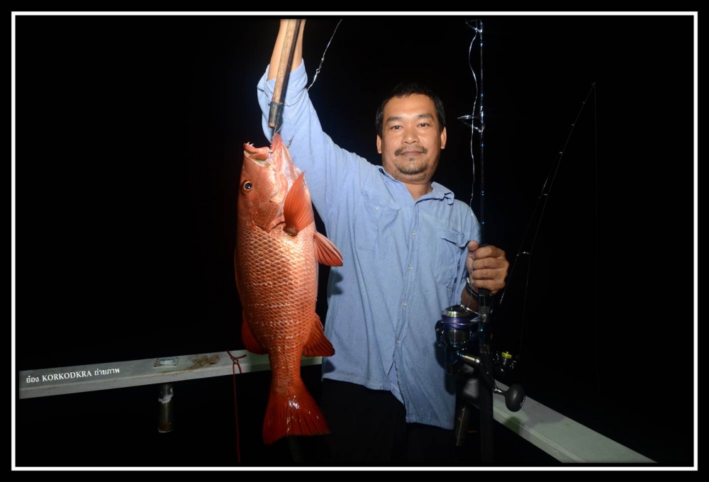 ส่วนพี่ต้น....ก็จัดของแดง....แรงฤทธิ์...ขึ้นเรือครับ....เป็นแดงเขี้ยว....ปลาเลิศรส :laughing: