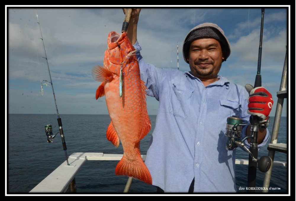 เป็นกุดสลาด....ไซด์โตดีมาก....สีสันสวยงามมาจากแนวปะการัง...ที่ความลึก...105 เมตร....เหยื่อ 120 กรัม.