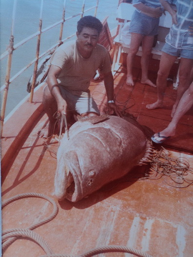 ปลาหมอทะเลที่หินกองทุ่น อีกหนึ่งในปลาตัวโปรดของพ่อ :grin: