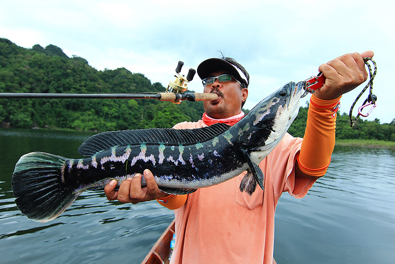 ++กระทู้ที่ 42  [url='http://www.siamfishing.com/board/view.php?tid=650319']http://www.siamfishing
