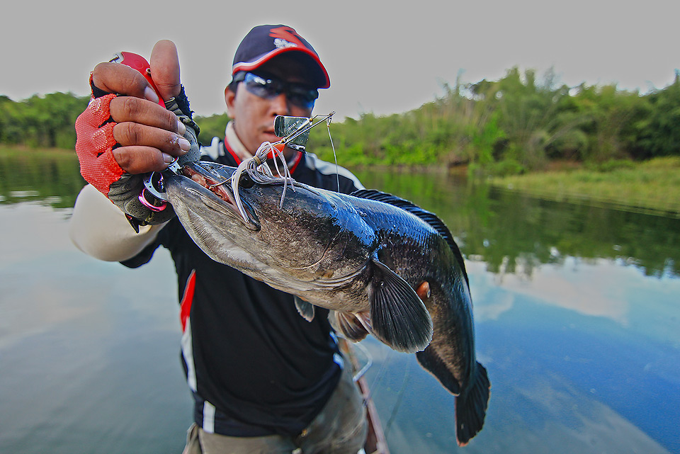 ++กระทู้ที่ 44  [url='http://www.siamfishing.com/board/view.php?tid=650964']http://www.siamfishing
