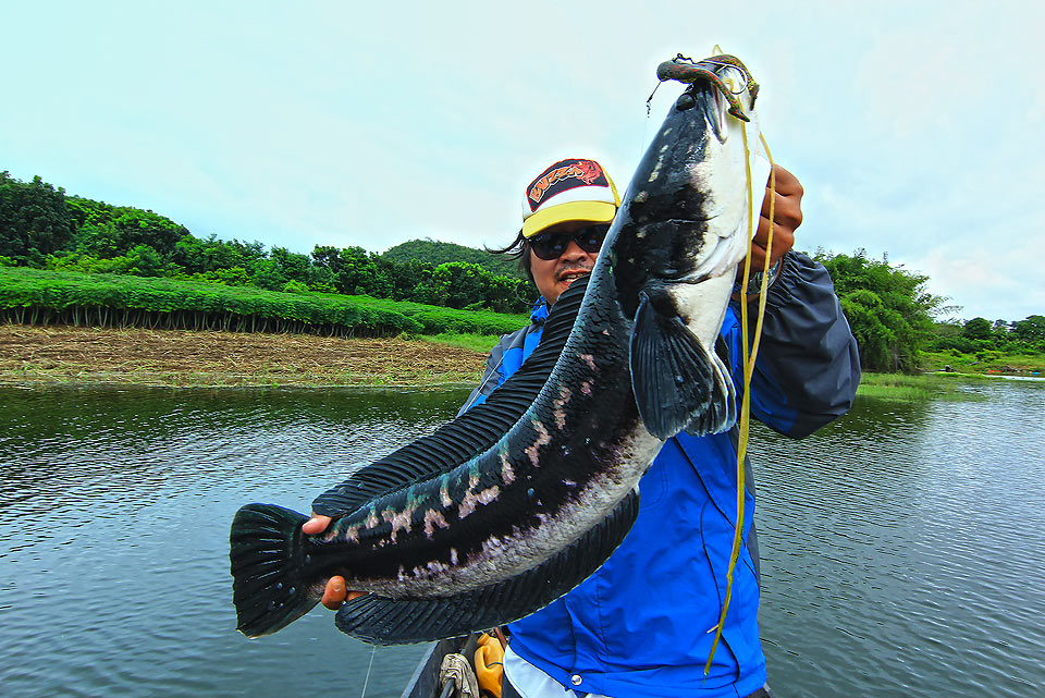 ++กระทู้ที่ 46 [url='http://www.siamfishing.com/board/view.php?tid=651358']http://www.siamfishing.