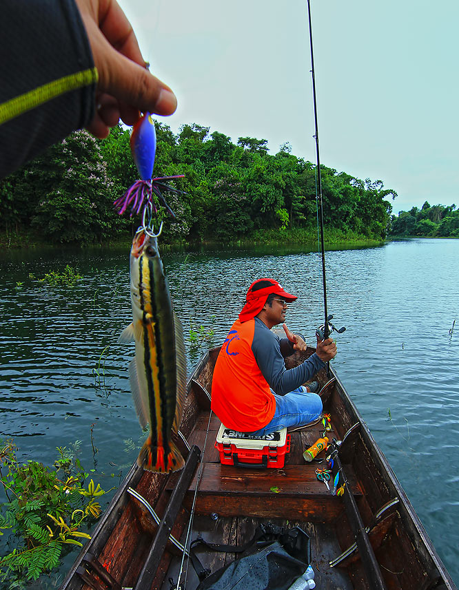 ++กระทู้ที่ 47  [url='http://www.siamfishing.com/board/view.php?tid=651760']http://www.siamfishing