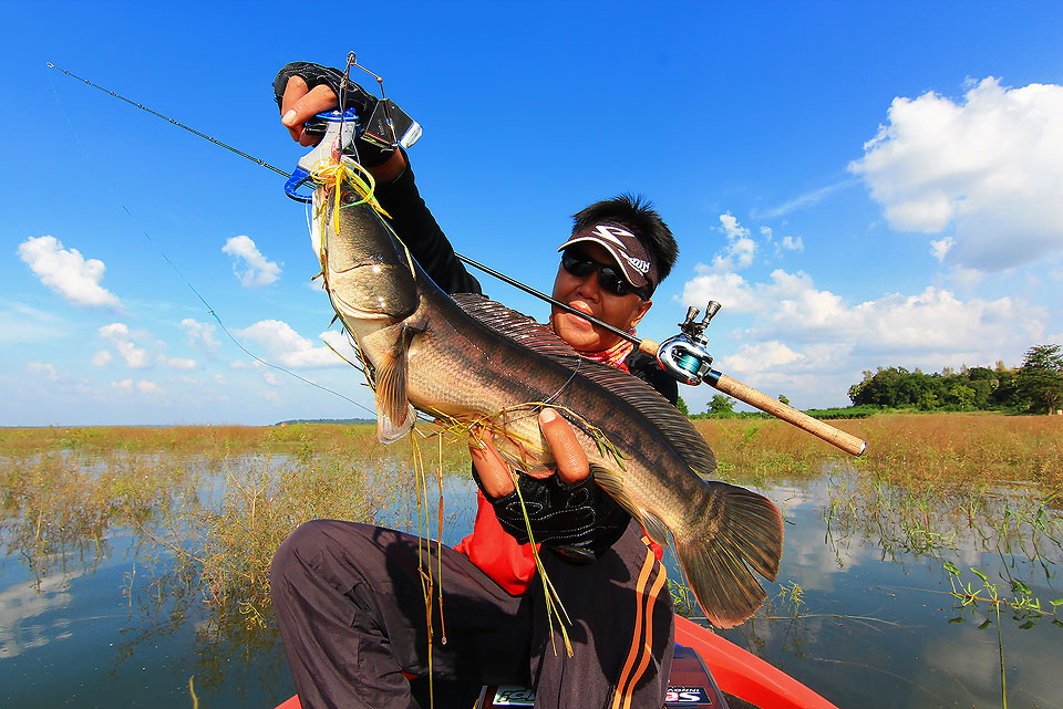 ++กระทูที่ 48  [url='http://www.siamfishing.com/board/view.php?tid=652146']http://www.siamfishing.