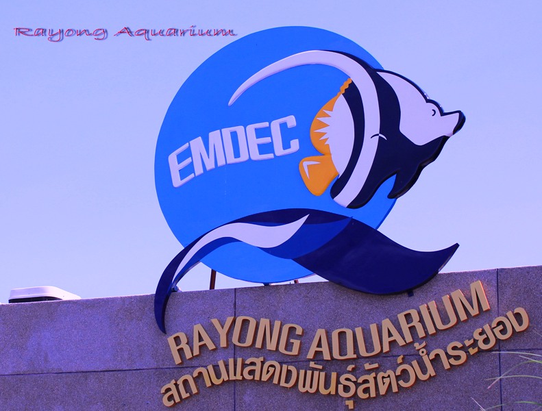 Rayong Aquarium.