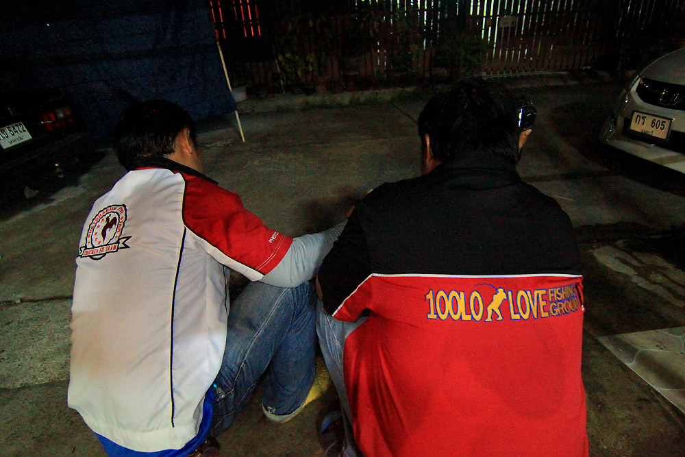    ชิคเค่นฟาย ''กราย'' 100โล

 :cheer:......... :heart: :heart: :heart:............ :cheer: