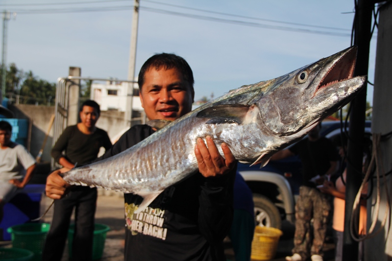 อินทรีย์ตัวหญ่ายยยย  หนัก 12 กก  ณ  หมายทะเลชายหาดบ้านกรูด บางสะพาน 