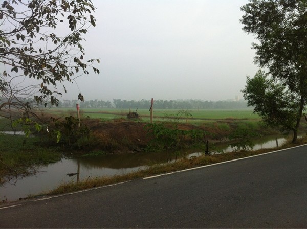 บรรยากาศยามเช้า

 :grin: :grin: :grin: :grin: :grin: