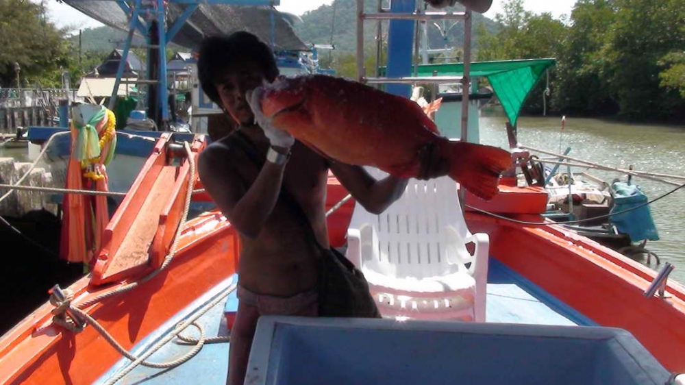 กว่าคิวจะว่างกะเรือarnajukfishing