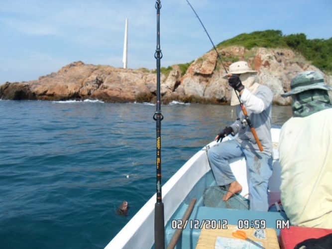 ขับเรือเล่นมาถึง หัวแหลมหรั่ง พอดีติดคันเบ็ดมาด้วย(บอกแม่บ้านว่ามาลองเรือเฉยๆ) เลยลองเช็คหมายดูหน่อย