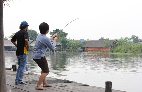 ปลากินอีกคันนึงเเล้ว
