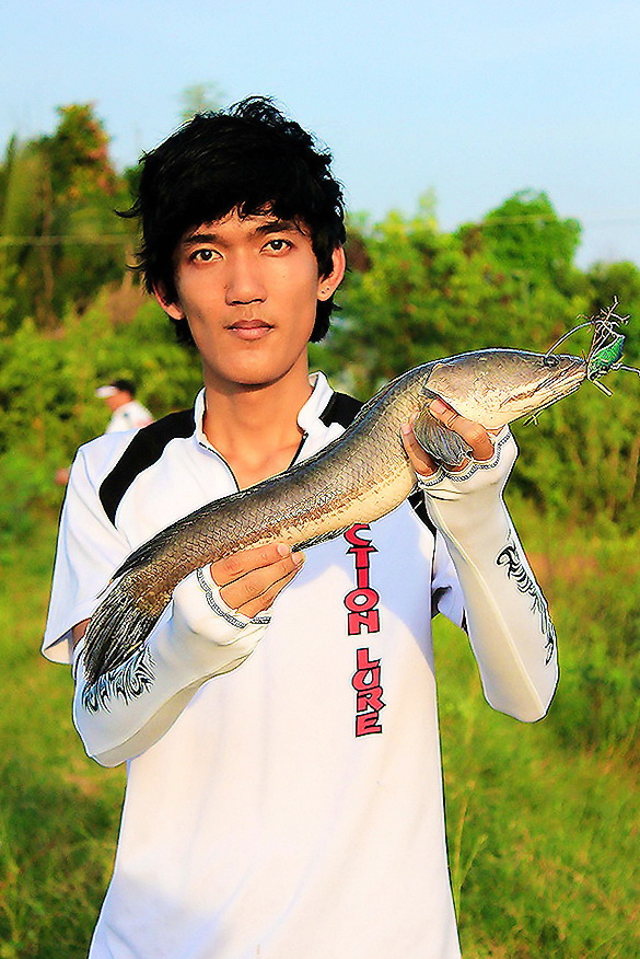 แล้วก็มีคนเอาปลาขึ้นมาอีกครับปลาไซร์อีกต่างหาก.... :ohh: :ohh: :ohh:
