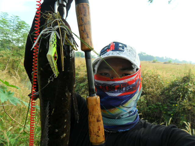 ทำลายห่วงโซ้อาหาร
ผู้ล่ากับเป็นผู้ถูกล่าครับ