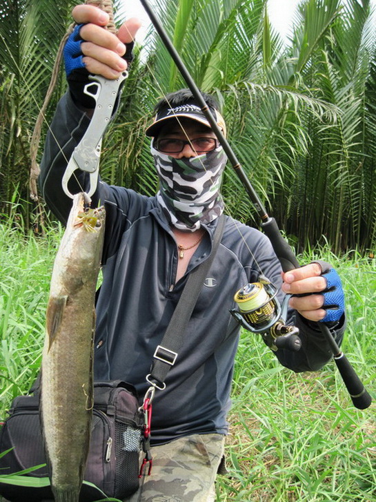 [b]โปรโจ้ เอาเหยื่อมาให้ใช้ และผมก็ตีเหยื่อไปเพียงแค่ไม้เดียว ก็ได้ปลามาอย่างที่เห็นครับ[/b] :cheer: