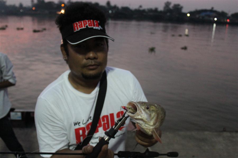 Rapala Flat Rap 6 cm ตีเลาะขอบกำแพง ปลาไม่มีระแวง :smile: :smile: :smile: