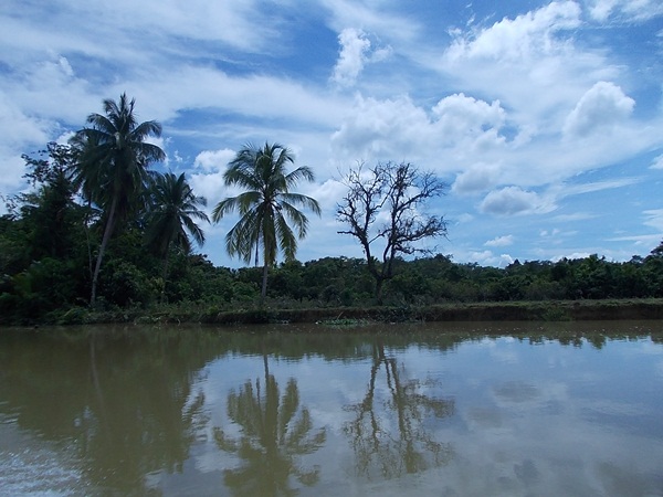 รอเรือยางยังไม่มา เลยเอาเรืออลูมาลองวิ่งทดสอบว่ากินน้ำมันแค่ไหน

ขอขอบคุณ สท.โกไกด์ ให้เรืออลูมาเก