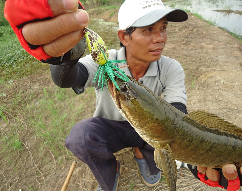 แถวบ้าน..เรียก  "กินเต็ม"   ครับผม !!!    :grin: :grin: :grin:

 :cheer: :cheer: :cheer: :cheer: