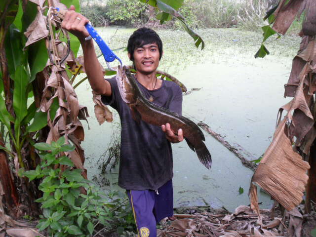 วัฒครับได้กอนถึงหมาย