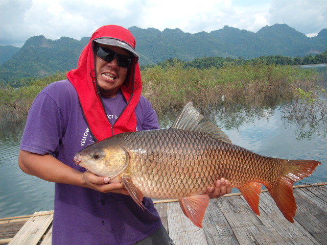 โทรฟี่ส่งท้ายปี ไม่เยอะไม่ใหญ่แต่สุขใจครับ