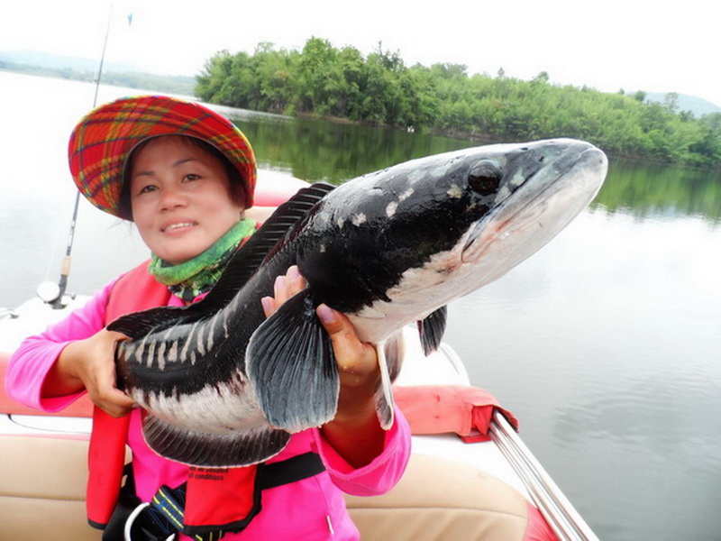 ผลงานมามี๊ ผลงาน Rapala Down Deep